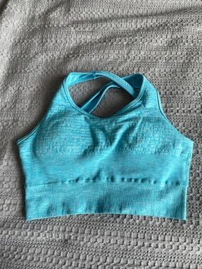 Seamless Alphalete Aqua Blue Sports Bra - Crisscross Back
